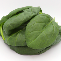 Corvair Spinach